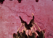 23. Silent Scream (FS2022) 17.jpg